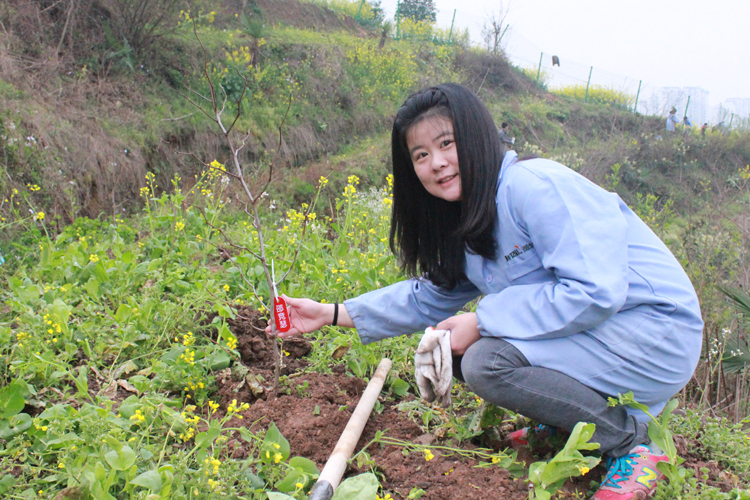 微特電子組織員工及家屬參加植樹節義務植樹活動